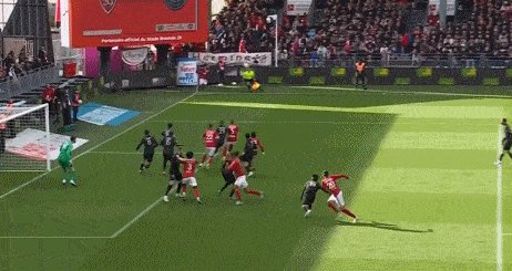 1698585717294040983.gif 勒杜阿龙(2).gif